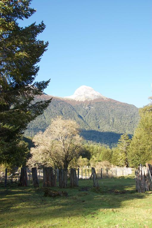 Casa Campo Carretera Austral Puerto Cisnes Exteriör bild